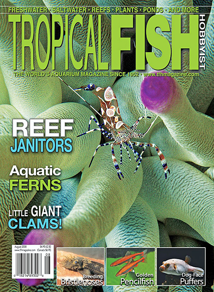 Tropical Fish Hobbyist Magazine Pdf