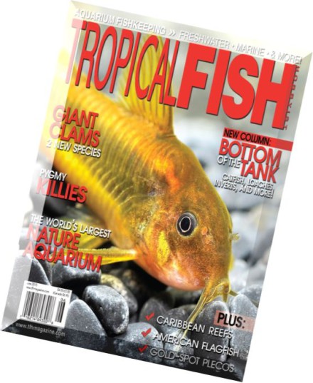 Tropical fish hobbyist magazine pdf free